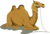 Resting Camel With Two Humps Clip Art